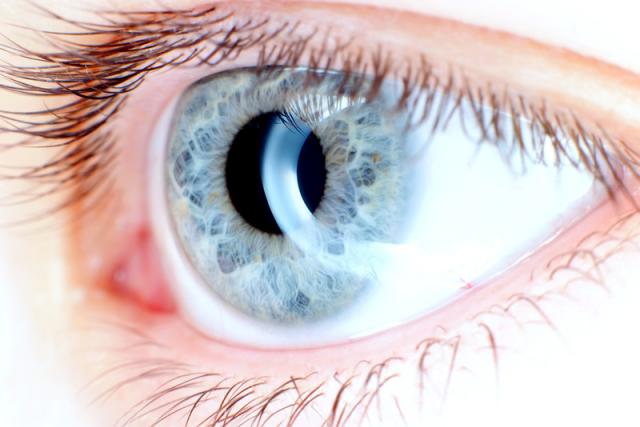 Oog